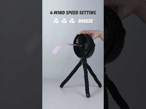 Load video: displayall_youtube_001