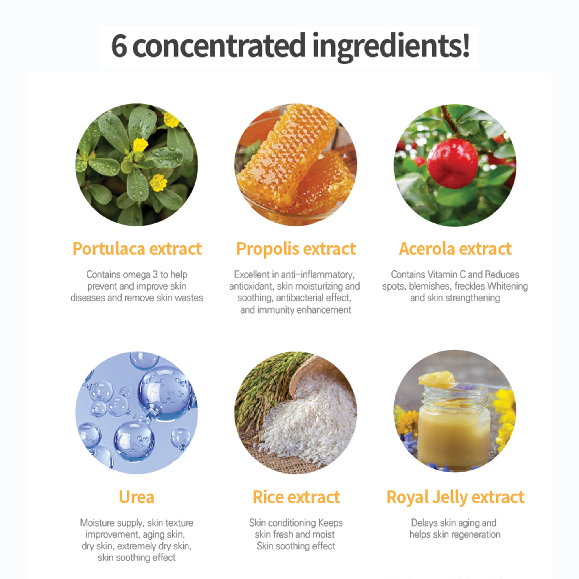 Luxury Foot Cream – Intensive Urea & Propolis Repair for Cracked Heels, Dry Calluses, and Peeling Skin