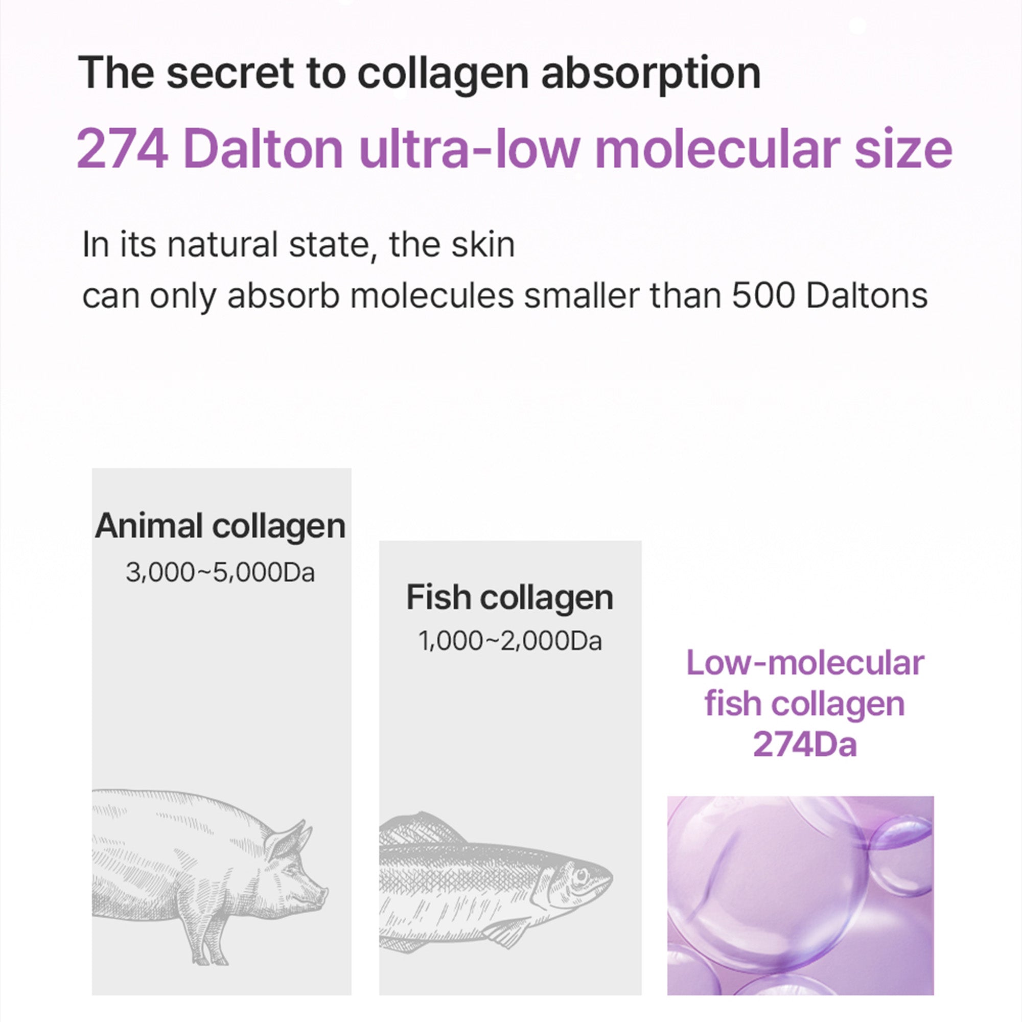 Super Collagen Booster Bubble Serum – Visible Firmness & Glow in 2 Weeks