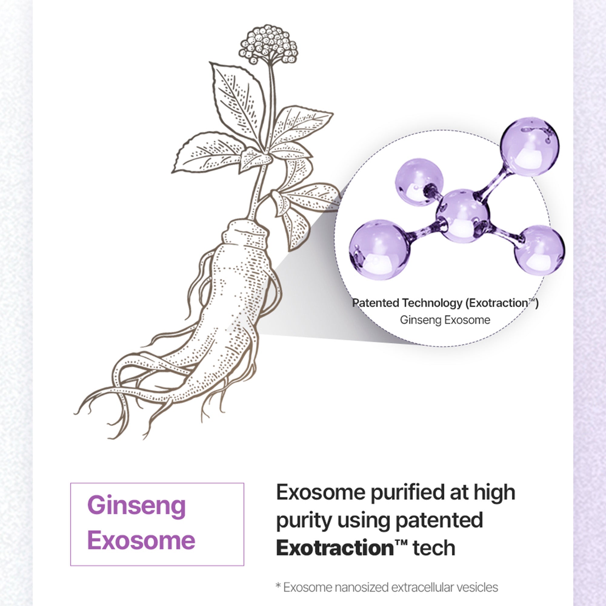 Super Collagen Booster Bubble Serum – Visible Firmness & Glow in 2 Weeks