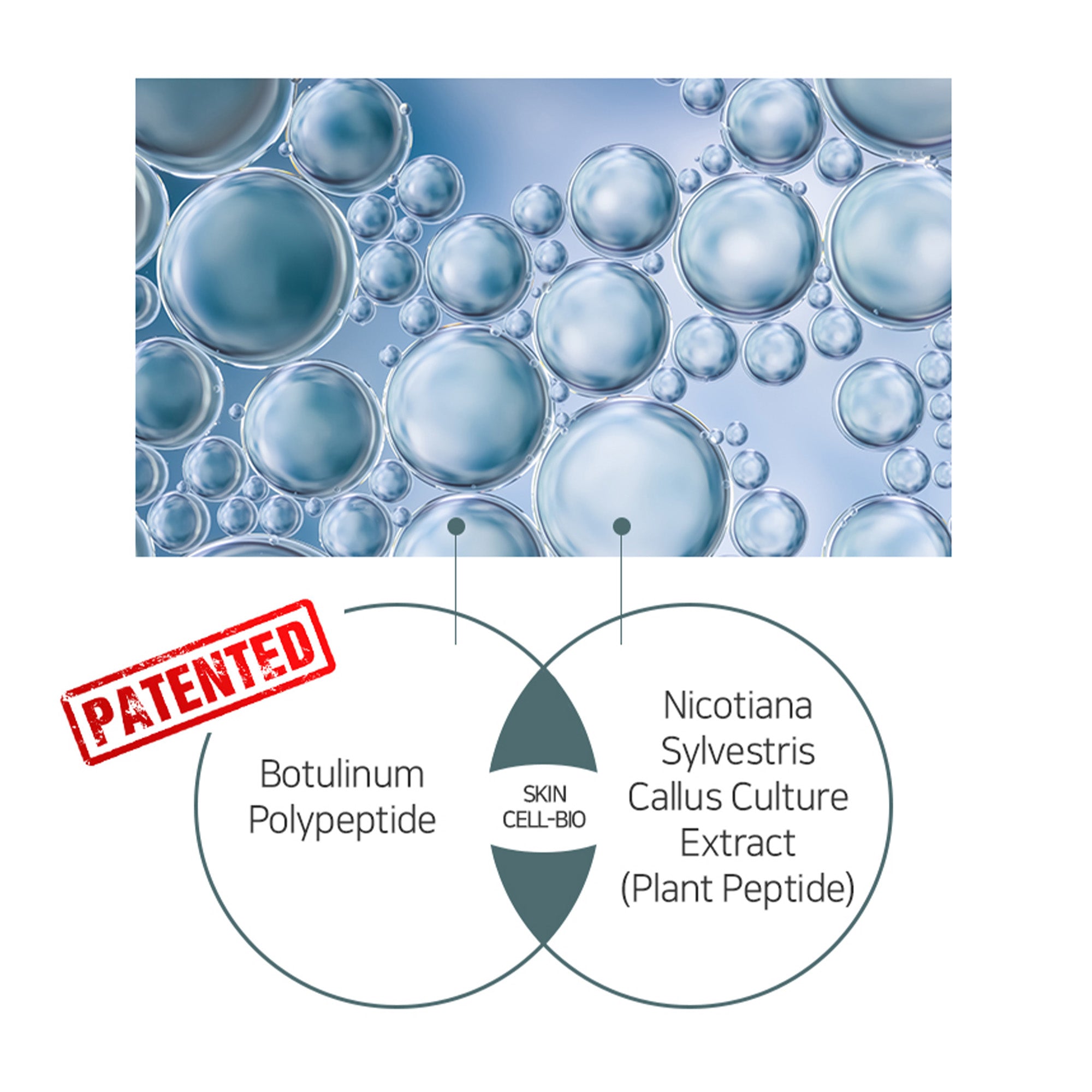 Wrinkle Solution Eye Cream with Galvanic Applicator – Korean Firming & Brightening Eye Treatment (15ml)