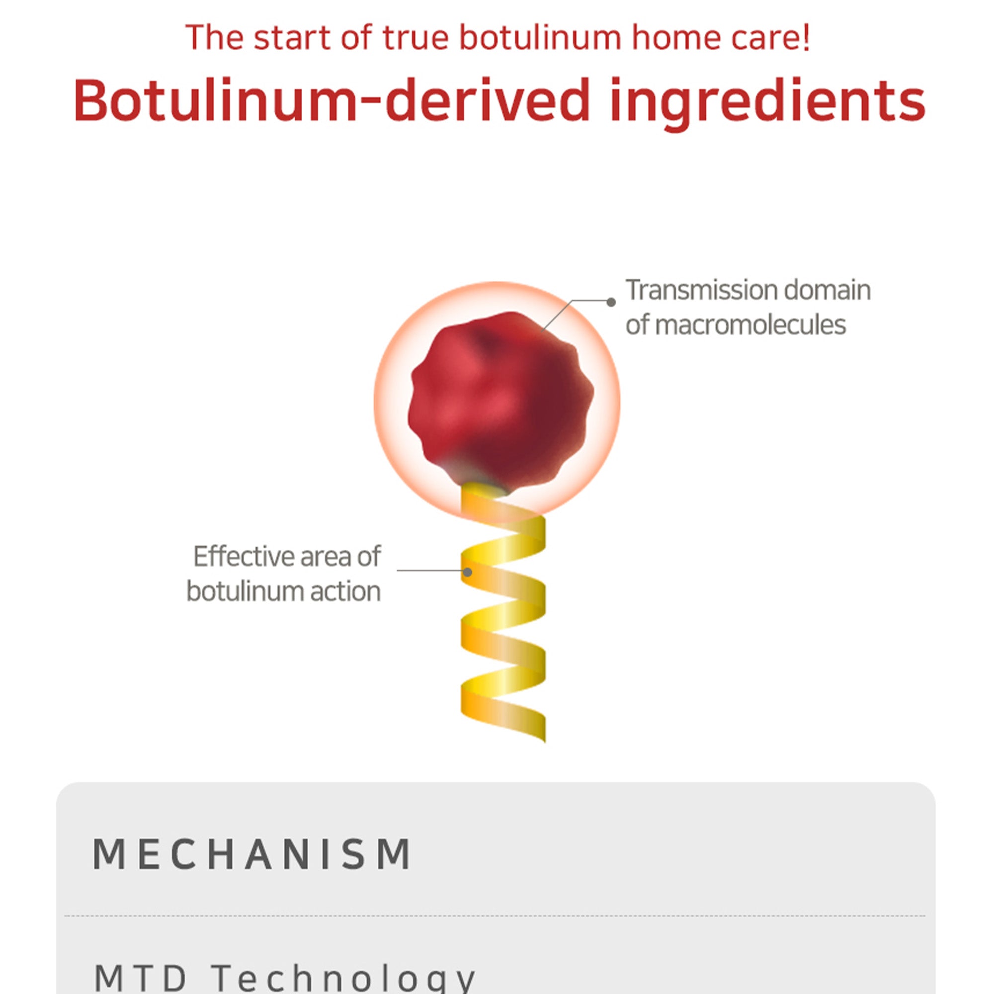 Wrinkle Solution Eye Cream with Galvanic Applicator – Korean Firming & Brightening Eye Treatment (15ml)