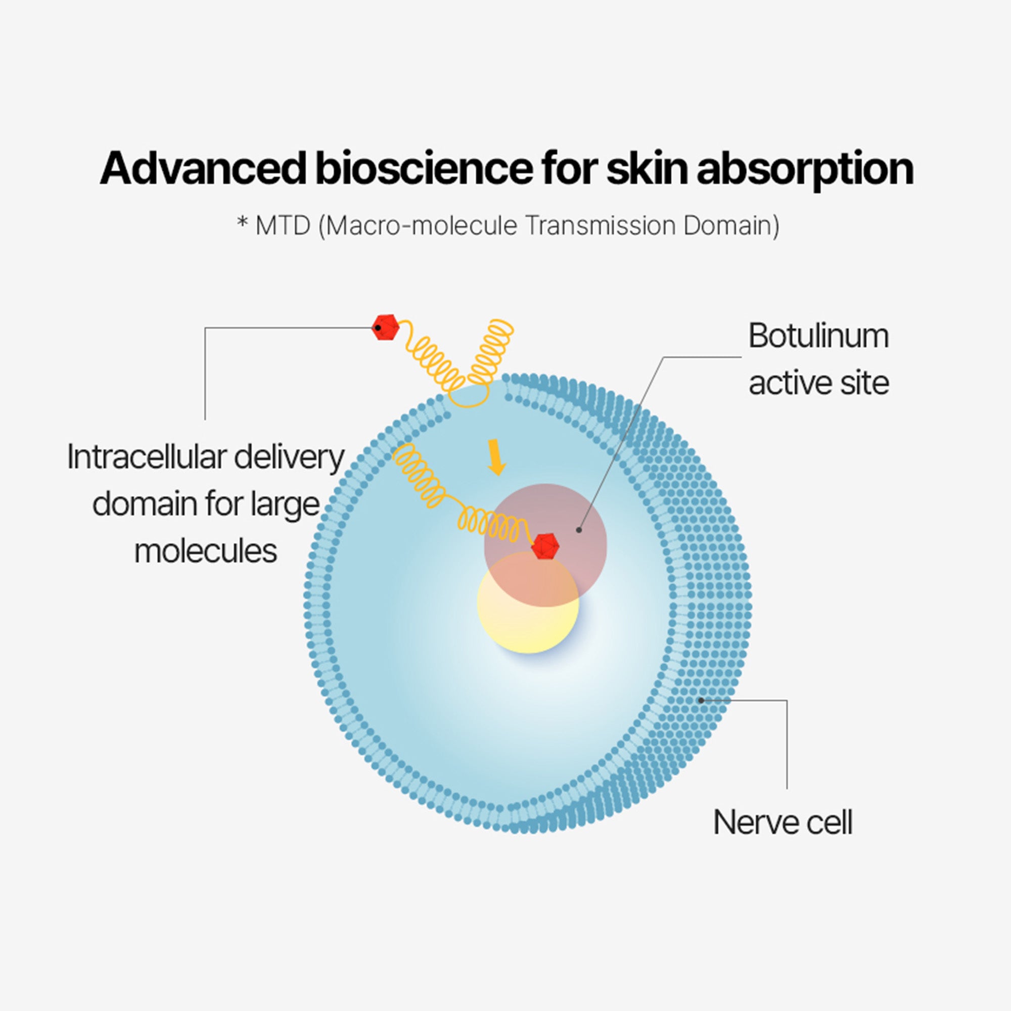 1 Second Absorbing Bubble Serum for Wrinkles, Pores & Skin Firming