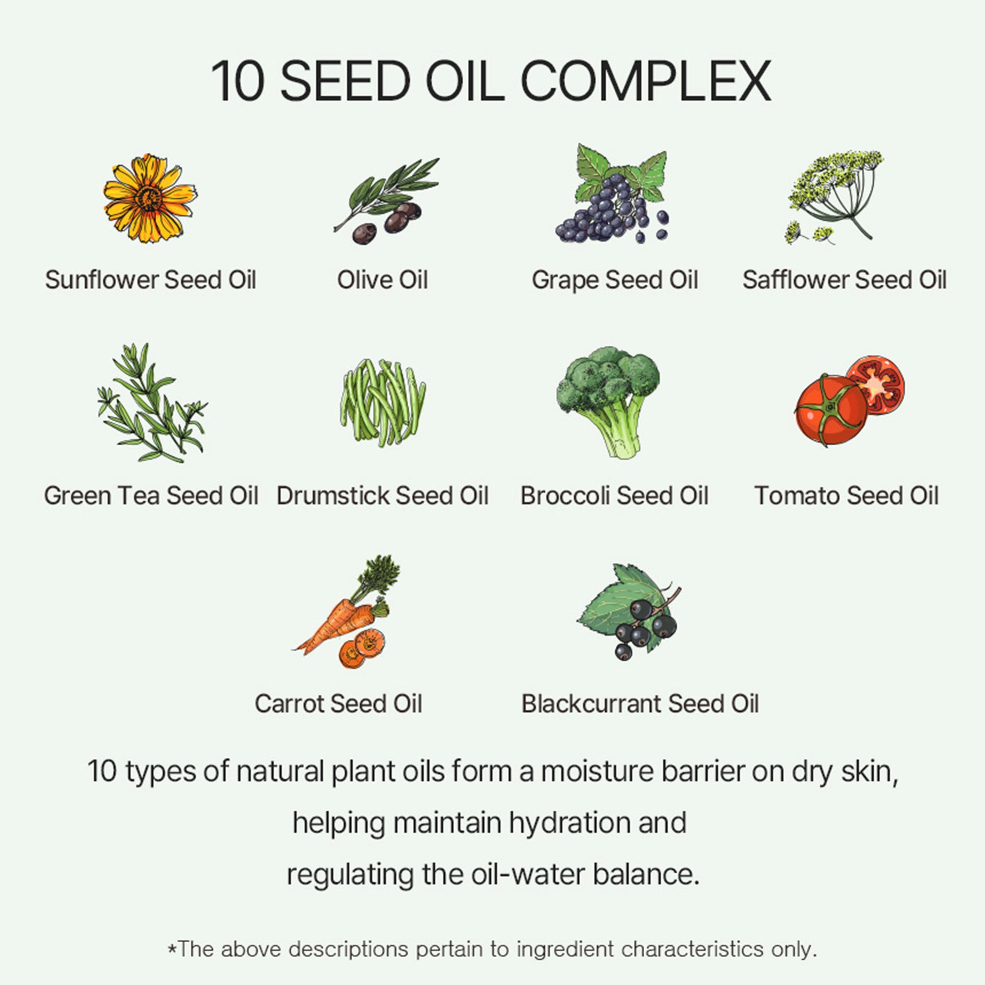 Hyaluronic Acid Korean Toner Pad – Total Solution Ampoule Pad for Deep Hydration