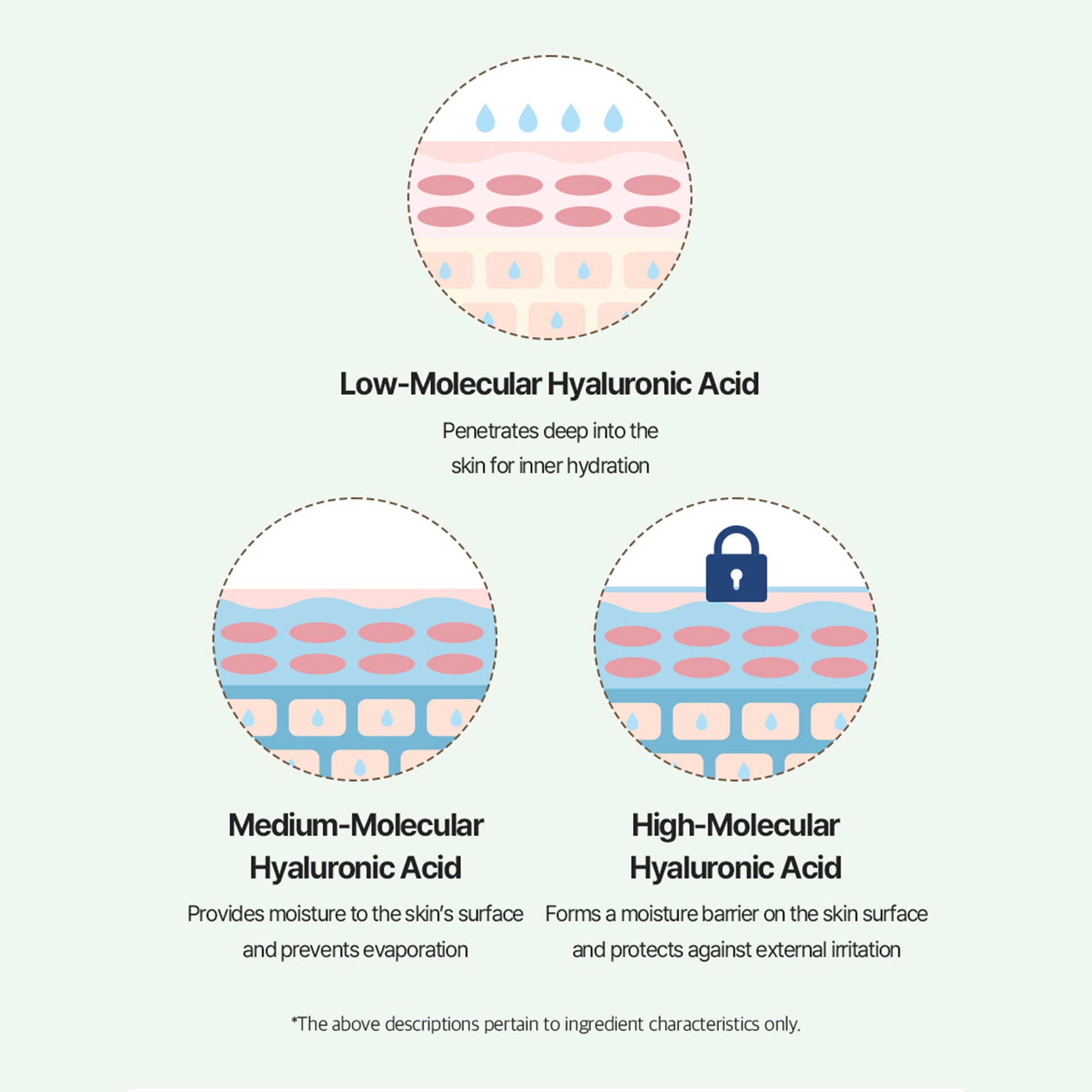 Hyaluronic Acid Korean Toner Pad – Total Solution Ampoule Pad for Deep Hydration