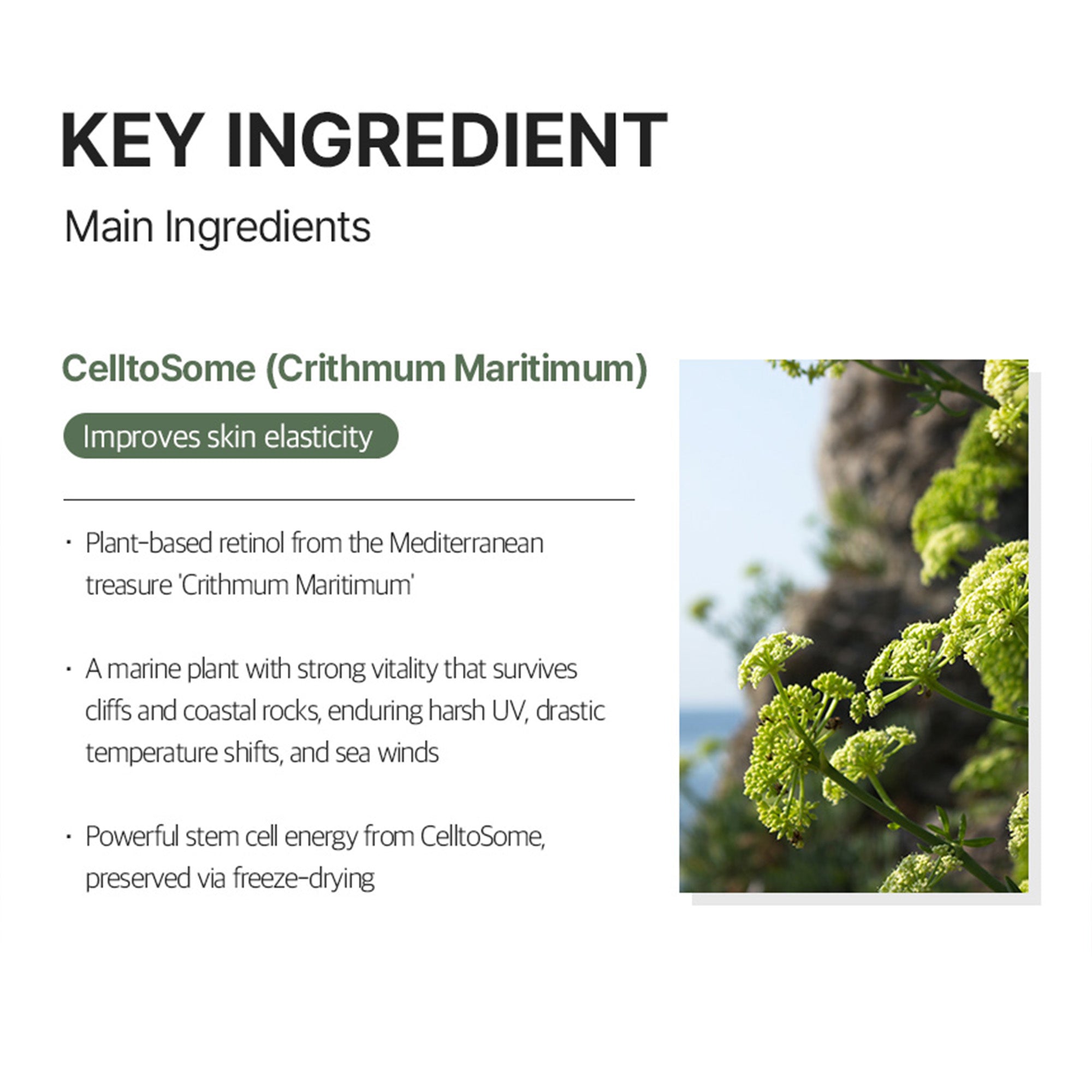 Hyaluronic Acid Korean Toner Pad – Total Solution Ampoule Pad for Deep Hydration