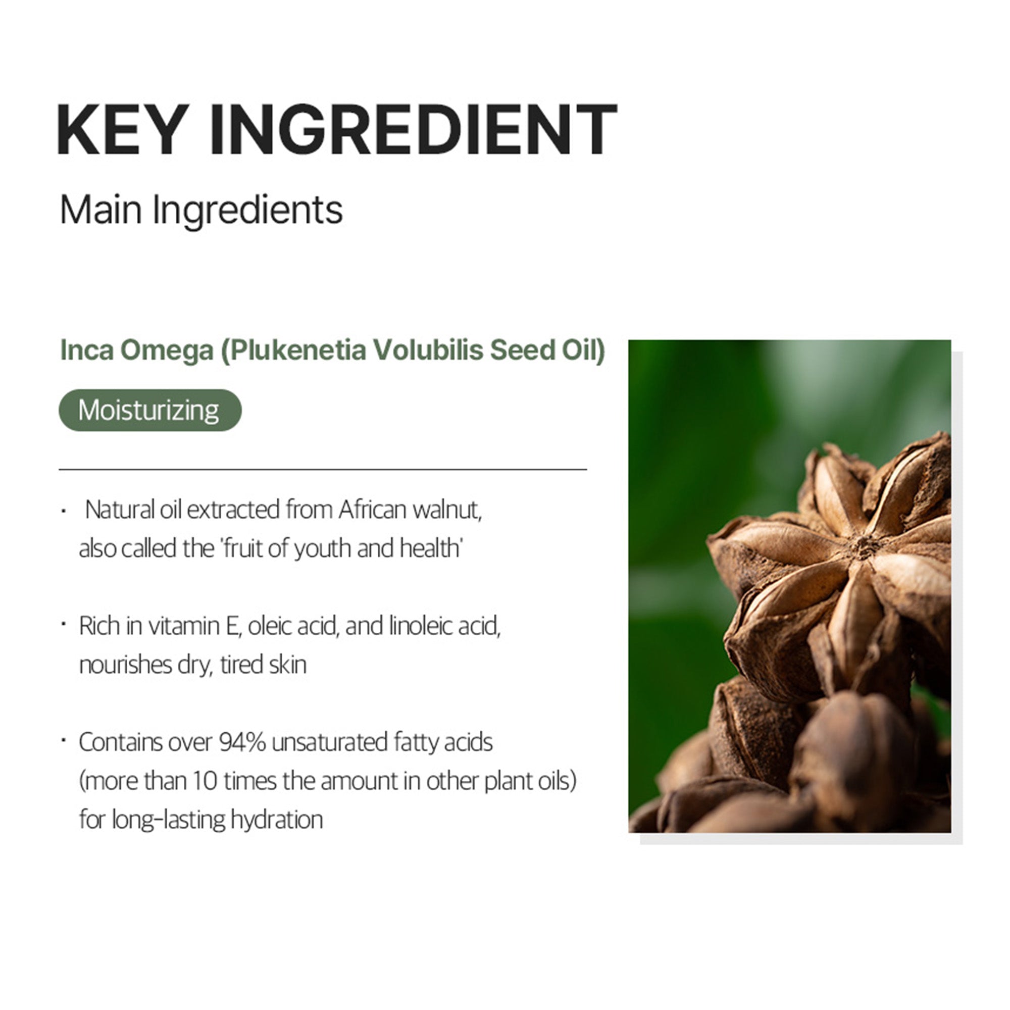 Hyaluronic Acid Korean Toner Pad – Total Solution Ampoule Pad for Deep Hydration