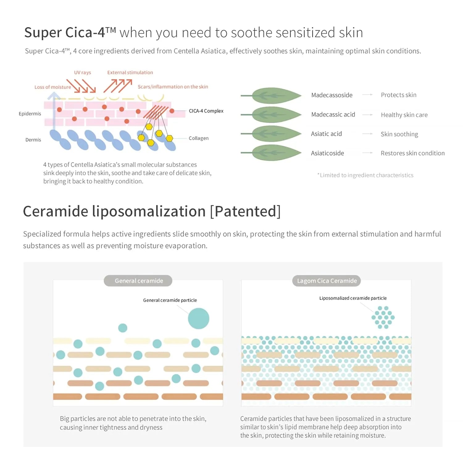 LAGOM Cellus Sensitive Cica Cream - Daily Soothing Face Moisturizer with Super Cica-4™ & Patented Ceramide, Sebum Control & Barrier Repair for Acne-Prone Skin (60ml / 2.02 fl.oz) product view.