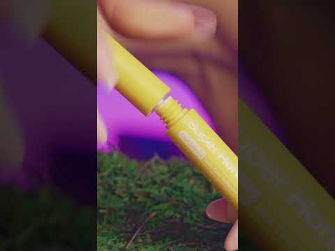 Load video: KPEG24_youtube_001