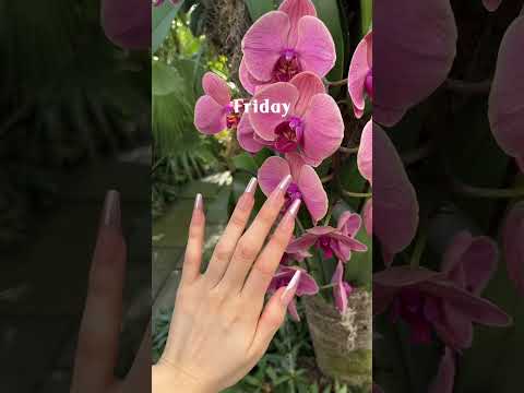 Load video: displayall_youtube_001